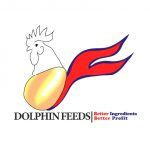 Dolphin Feeds